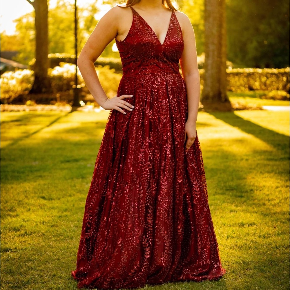 Gorgeous FULL gown